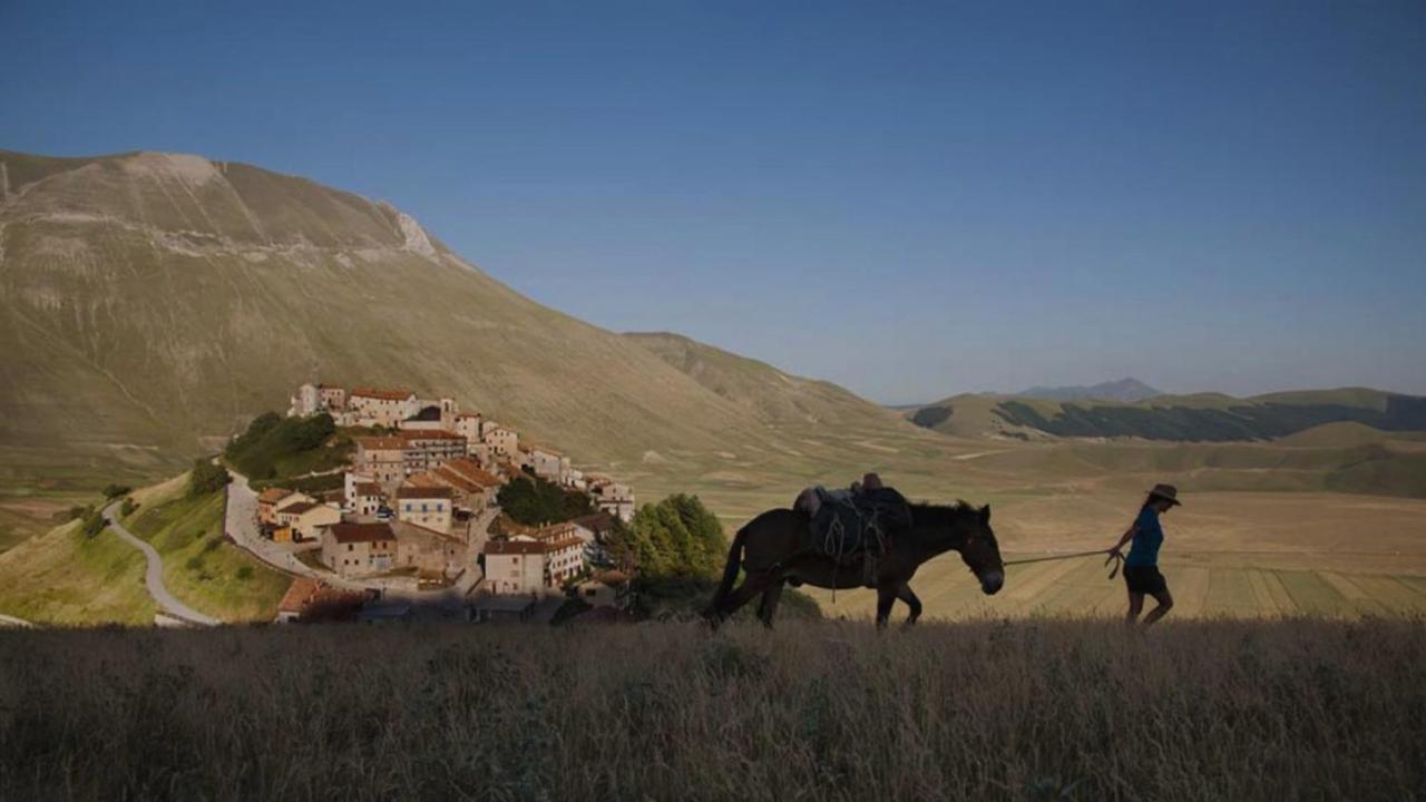 Castello Di Pupaggi Farm stay